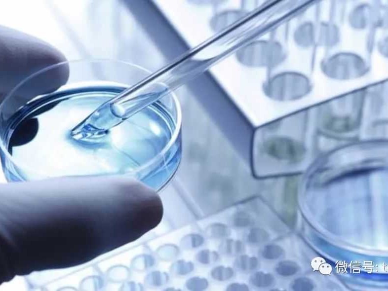 技术部门那些花名雅称你知道几个？