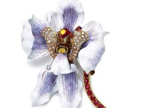 当清雅幽兰遇见赛博科技：你的专属兰花AI管家已上线