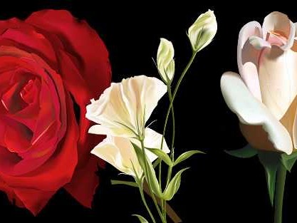 玫瑰改变AI：让创意不再难产，让成长有迹可循