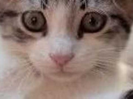 你家也有资料满天飞的烦恼吗