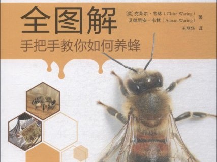 嗯养蜂技术的那些门道儿