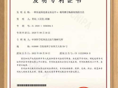哎呀妈呀，你可算问到点子上了！搞CAR-T这行的，谁没在专利上栽过跟头、吃过闷亏？我跟你唠唠，这里头的水，深着哩！