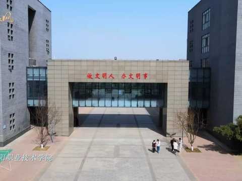 寻路安职：藏在古都安阳的职教明珠到底在哪儿？
