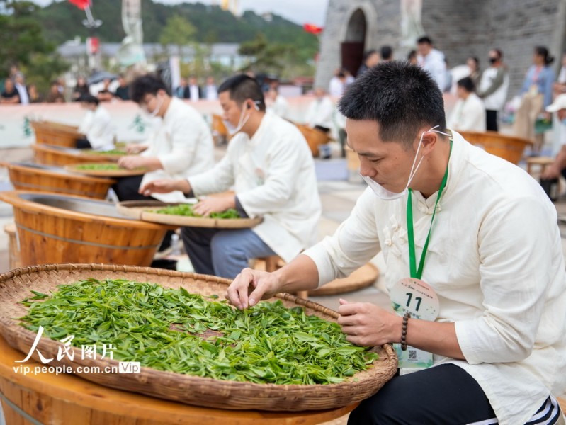 云雾茶技术里头那些挠破头皮的事儿，其实搞懂了就不难
