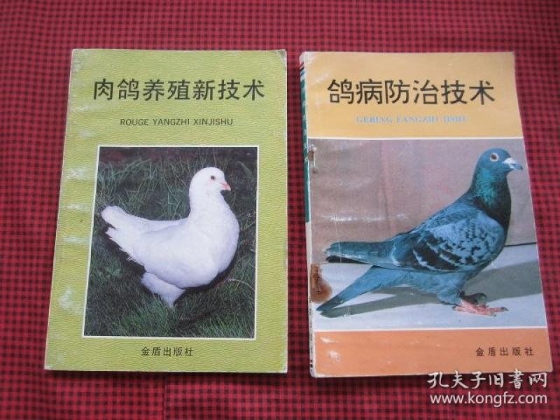 养孔雀真能赚到钱？先别急，老司机把压箱底的干货全掏给你