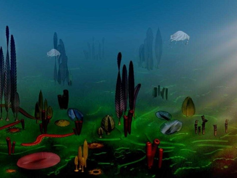 实验室里的“时间刺客”：看生物技术如何把十年研发压缩成三年