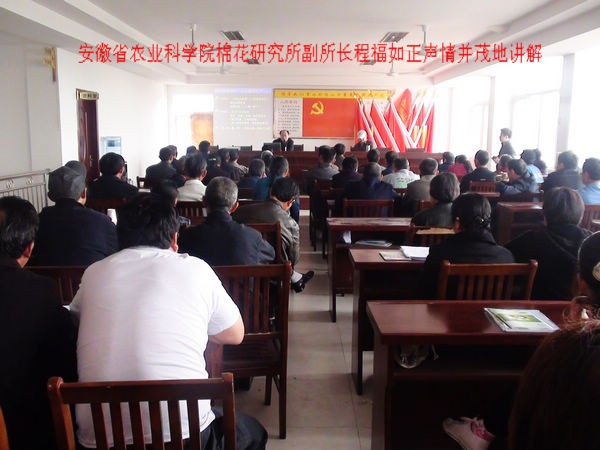 乡镇里的技术能人，咋就让咱乡村变了样？