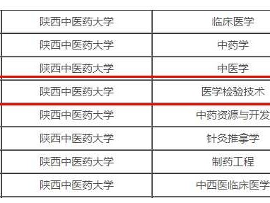 医学检验技术等级全解析