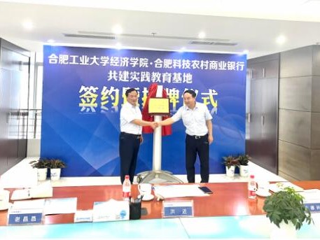 合肥汉思信息技术有限公司的发展历程与产品服务