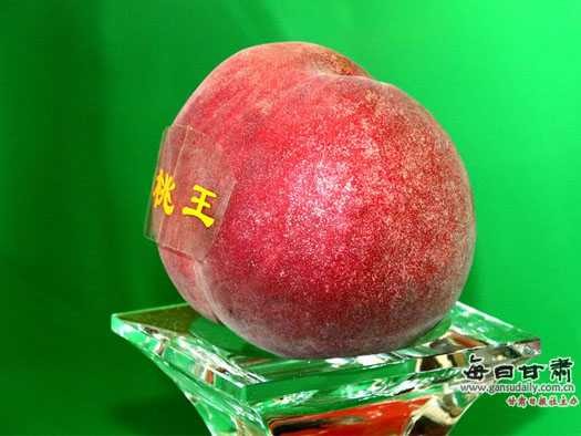 蟠桃生产技术精华整理