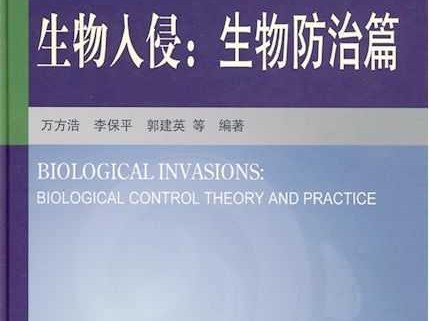 给网络防护加点“方言口音”：技术防范论述中的反检测实战技巧