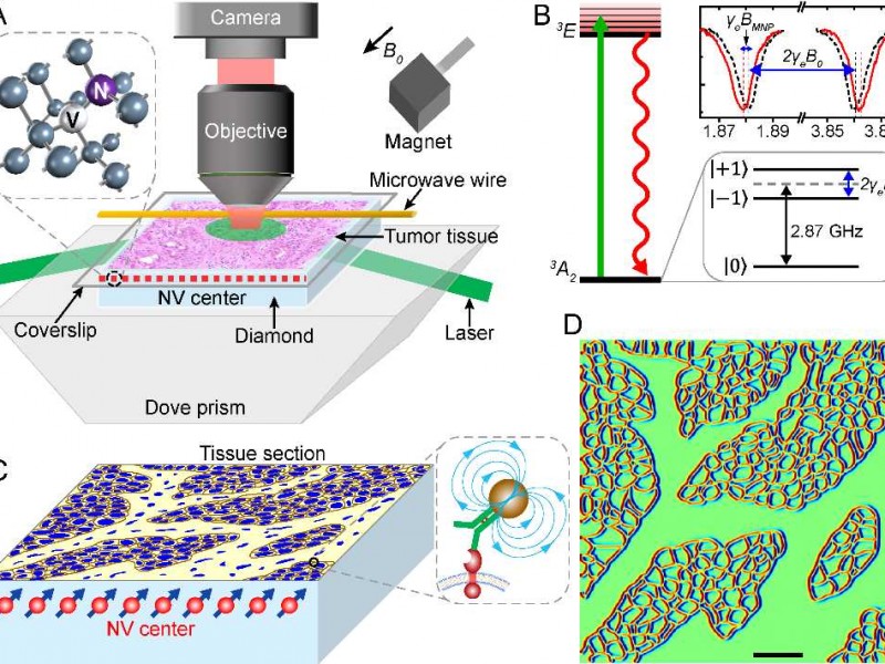 成像技术大：解决你生活中的实际难题