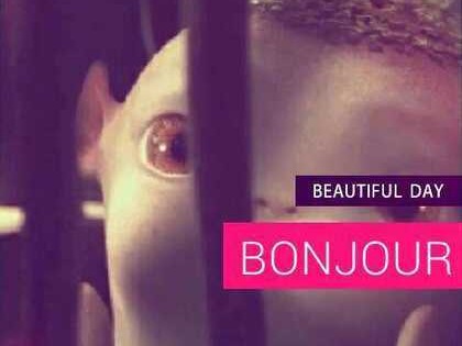 宝宝还没出生就能看见长相？四维AI合成宝宝技术是惊喜还是噱头