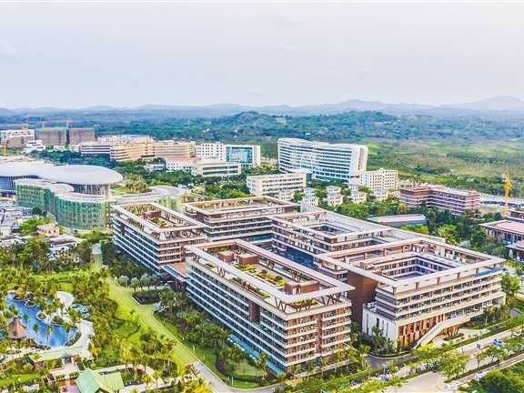 县域人工智能：从政策蓝图到田间地头的智变