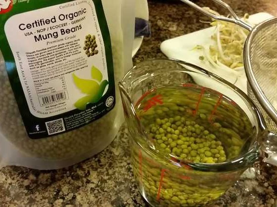 绿豆ai整理搜索内容的妙用与那些不为人知的细节感受