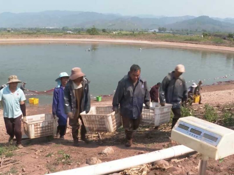 水产标准化养殖，从“靠经验”到“靠标准”的华丽转身