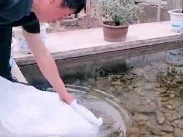 养鱼技术到底上哪学？别抓瞎，这几条路让你从入门到精通