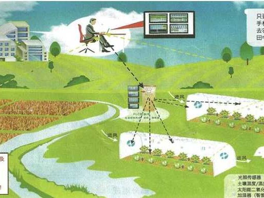 田里的小帮手，农业大智慧：聊聊微生物咋让庄稼长得更带劲