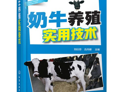 奶牛技术风险揭秘与应对之道