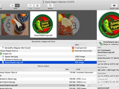 想整明白苹果电脑上的AI咋弄？看完这篇就够咧！