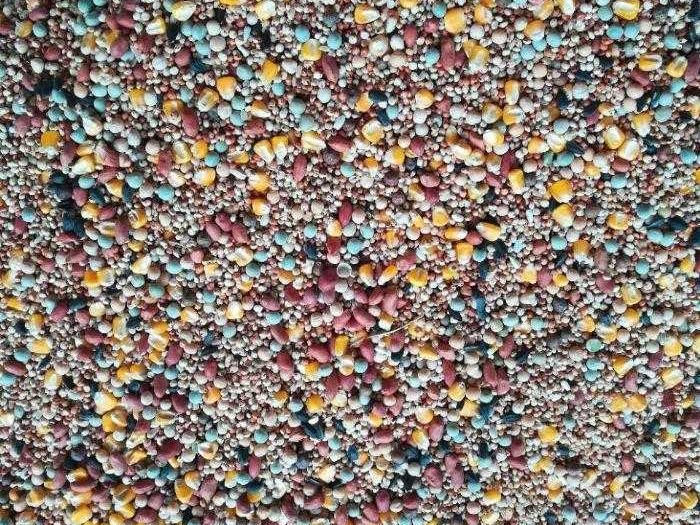 智能时代，红土AI如何为创新者铺就资本之路