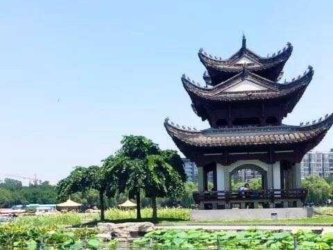 AI梧桐：你不知道的多个面孔与真实力量