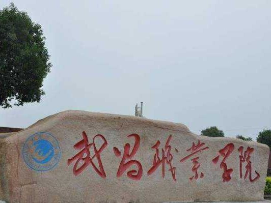 寻真记：武昌职业技术学院贴吧里的那些酸甜苦辣