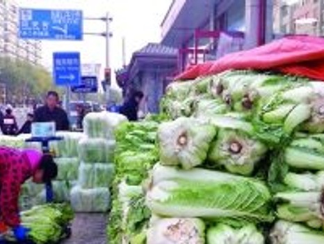 大白菜冬储技术：教你从地里到餐桌的保鲜秘诀