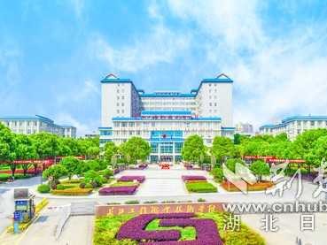 武汉长江职业技术学校究竟值不值得选？过来人唠点实在嗑