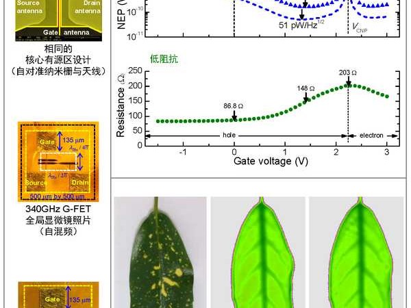 太赫兹波：藏在电磁谱中的“万能钥匙”正打开未来世界大门